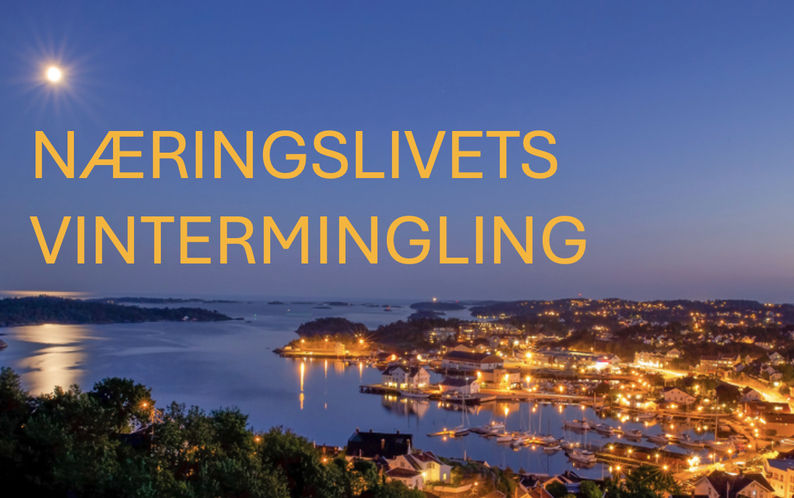 Næringslivets vintermingling