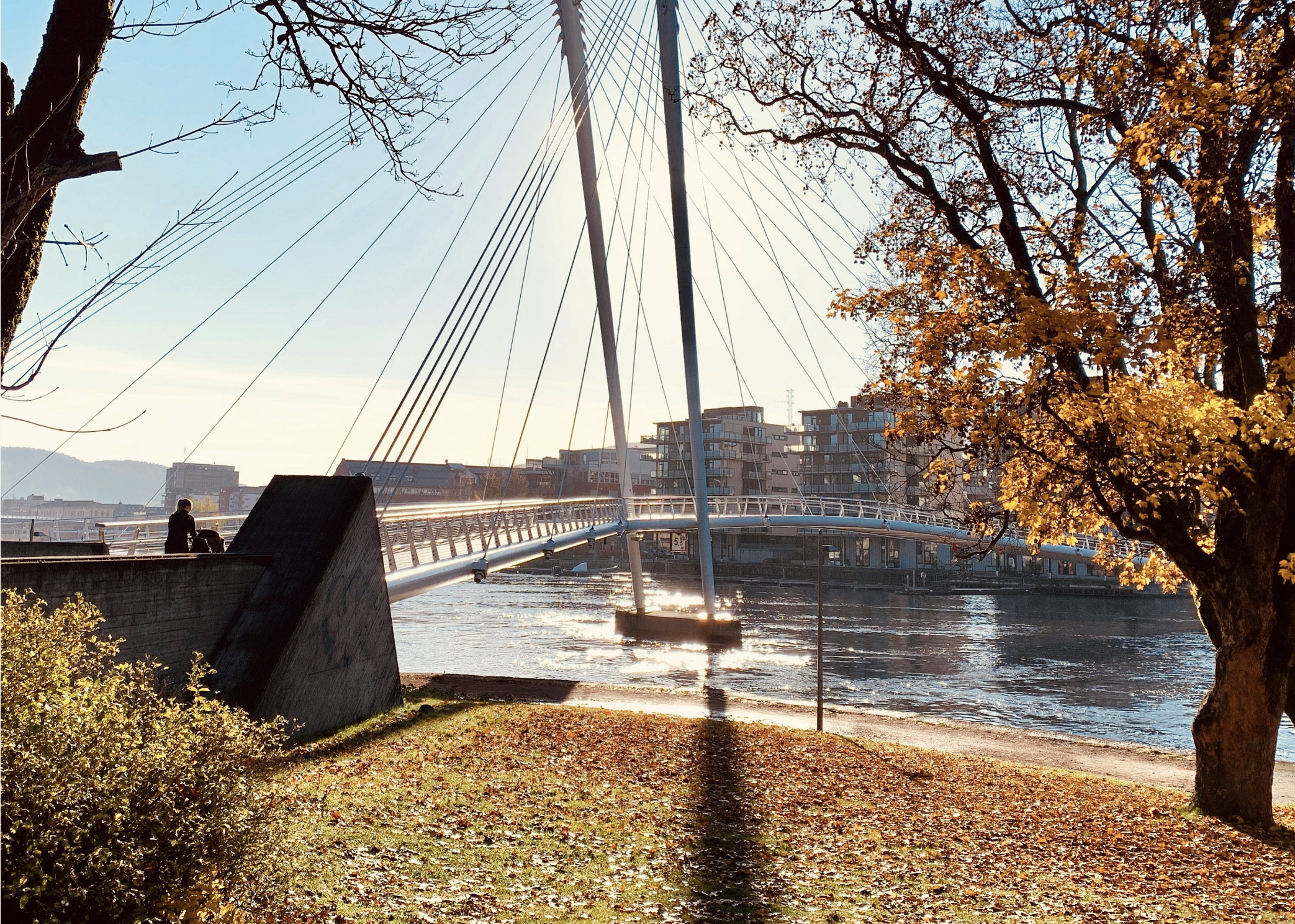Byvandring; Det glade vanvidds vei