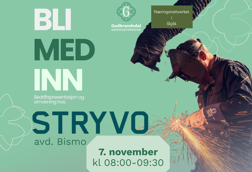 BLI MED INN: Stryvo Bismo