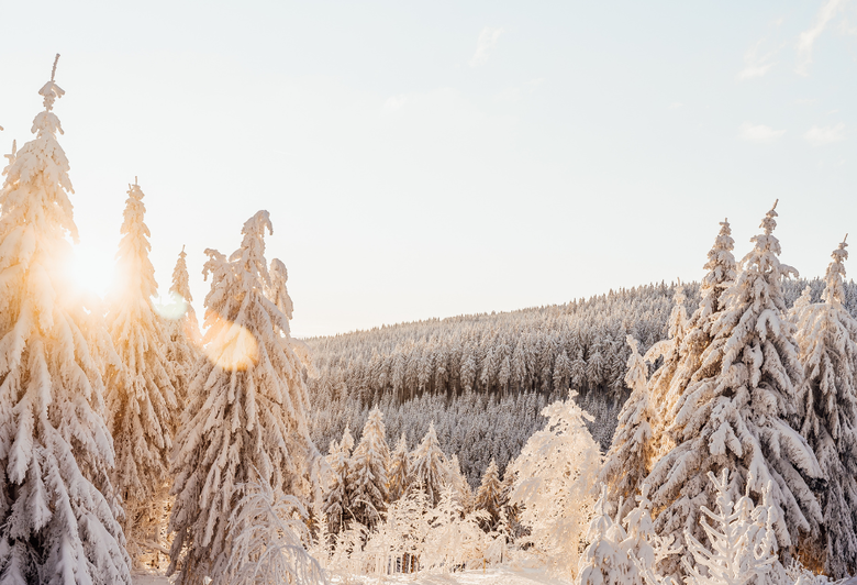 NÆRINGSLIVSLUNSJ - Ny retning, nye ansikter