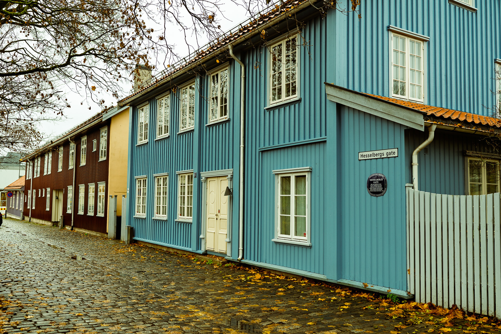 Gratis Byvandring i Gamlebyen på Strømsø