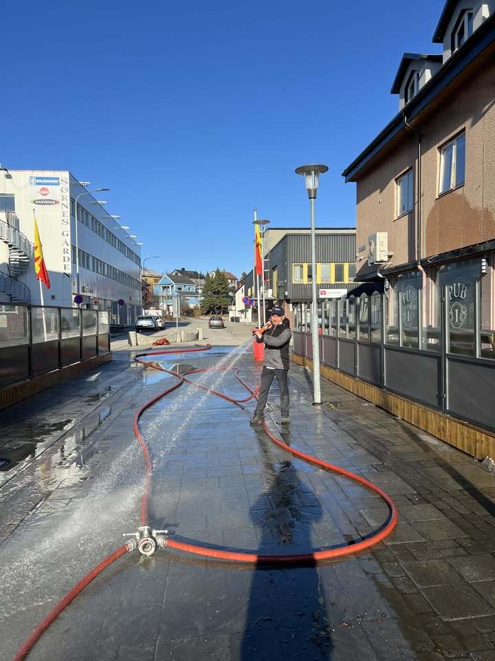 Vårrengjøringsdugnad